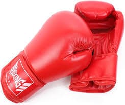 Kung Fu Gloves