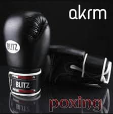 Kung Fu Gloves